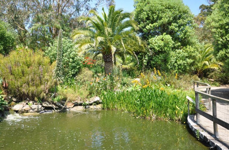 The Exotic Garden of Roscoff, Roscoff, France, France